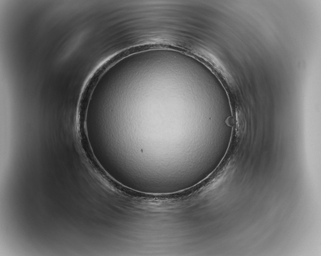 X0000094780780200711301545