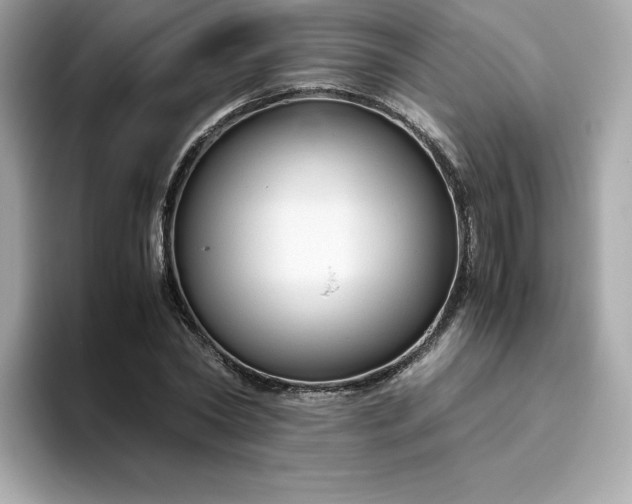 X0000094780782200711301545