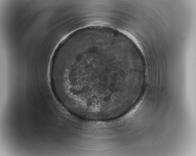 X0000094780783200711301545
