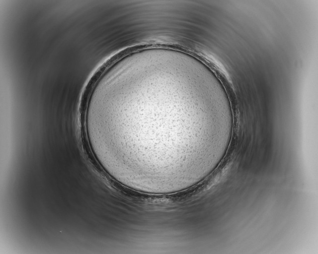 X0000094780784200711301545