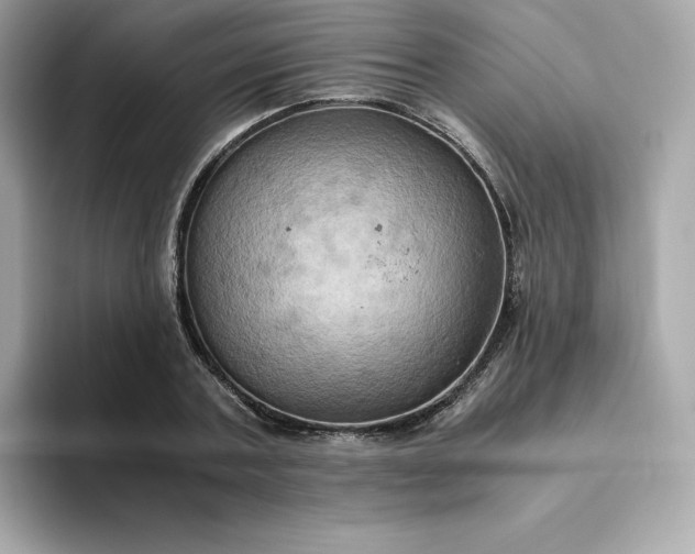 X0000094780787200711301545