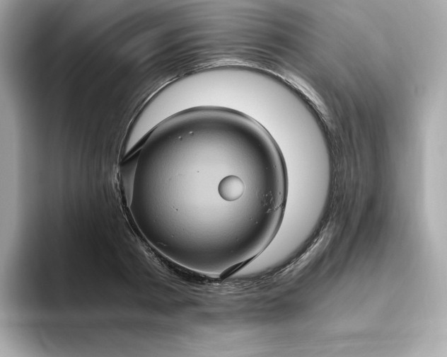 X0000094780793200711301545