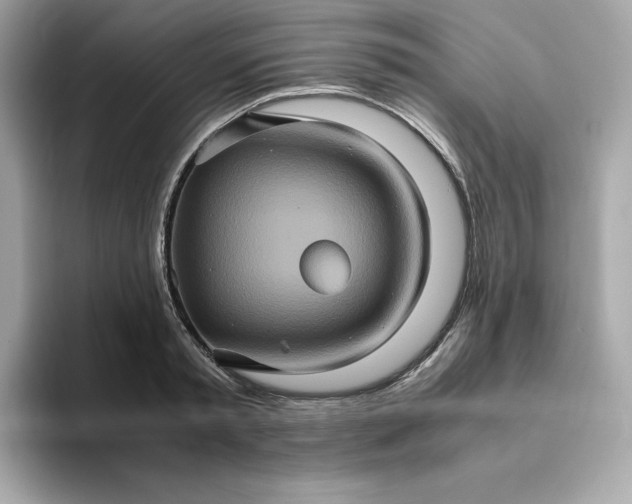 X0000094780797200711301545
