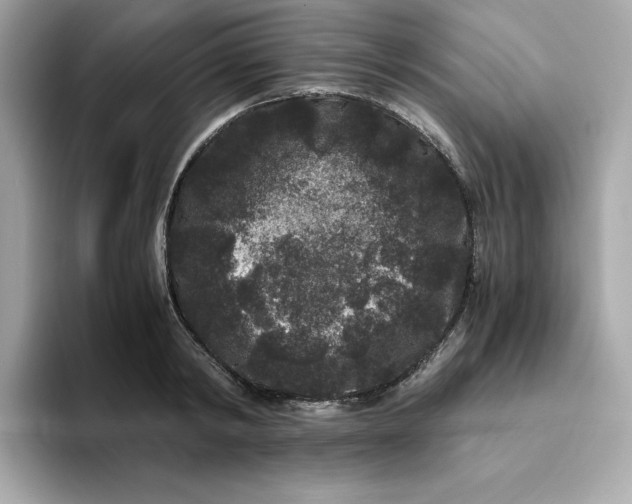 X0000094780798200711301545
