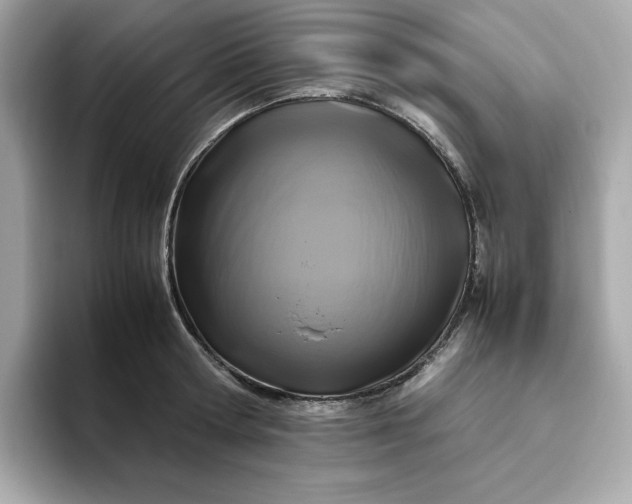 X0000094780802200711301545