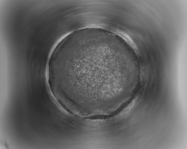 X0000094780804200711301545