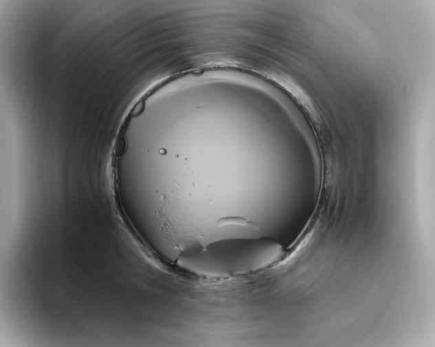 X0000094780806200711301545