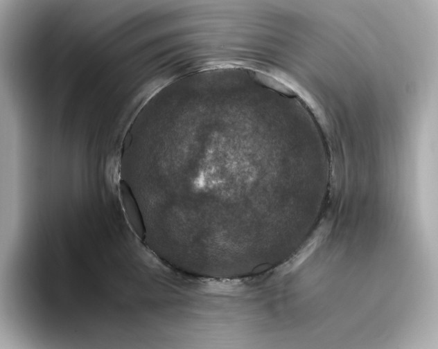 X0000094780809200711301545
