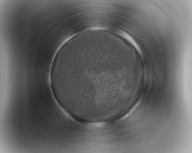 X0000094780810200711301545