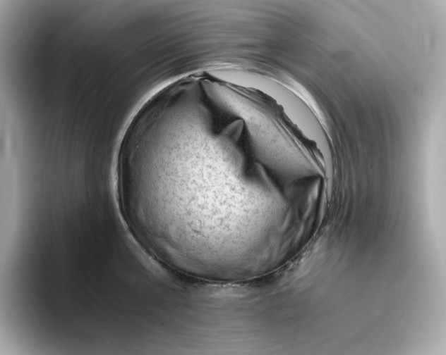 X0000094780811200711301545