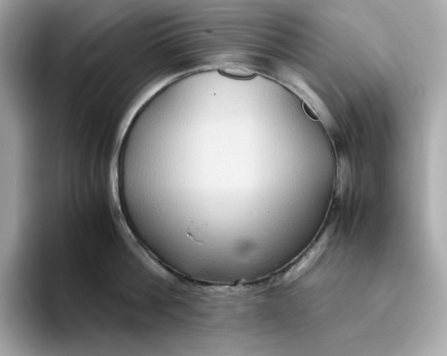 X0000094780812200711301545