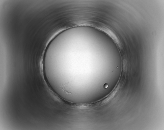 X0000094780814200711301545