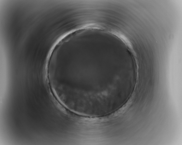 X0000094780816200711301545