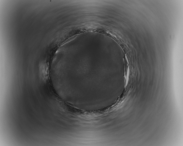X0000094780818200711301544