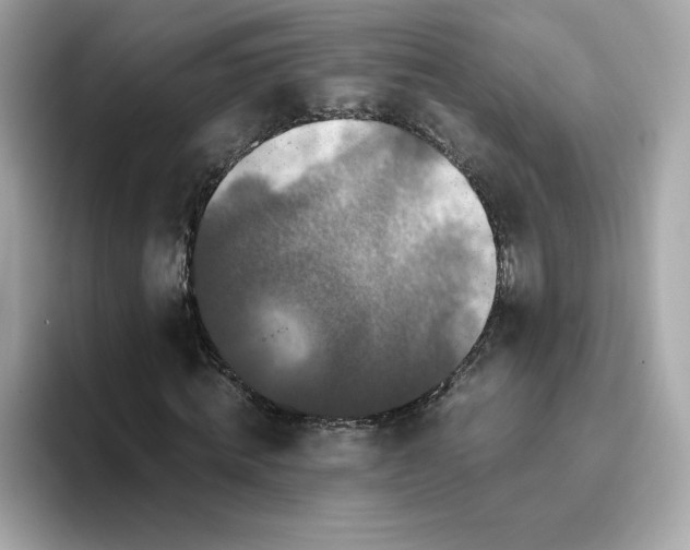 X0000094780820200711301544