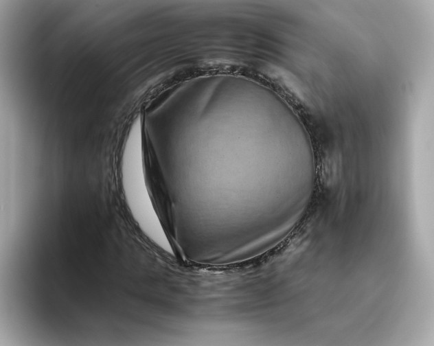 X0000094780821200711301544