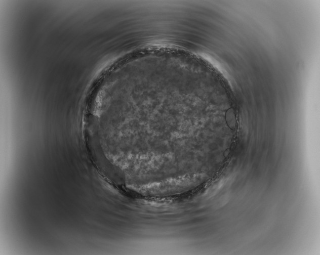 X0000094780823200711301544
