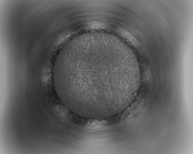 X0000094780824200711301544