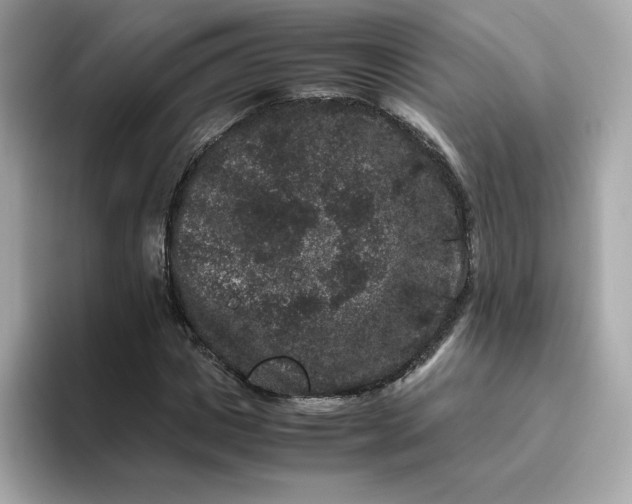 X0000094780825200711301544