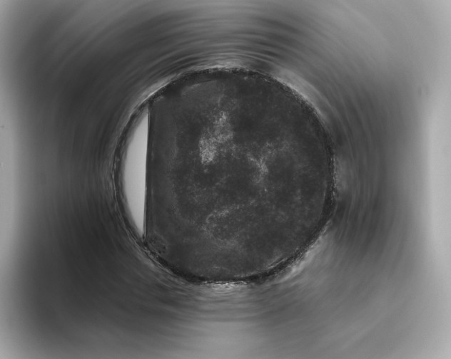 X0000094780826200711301544