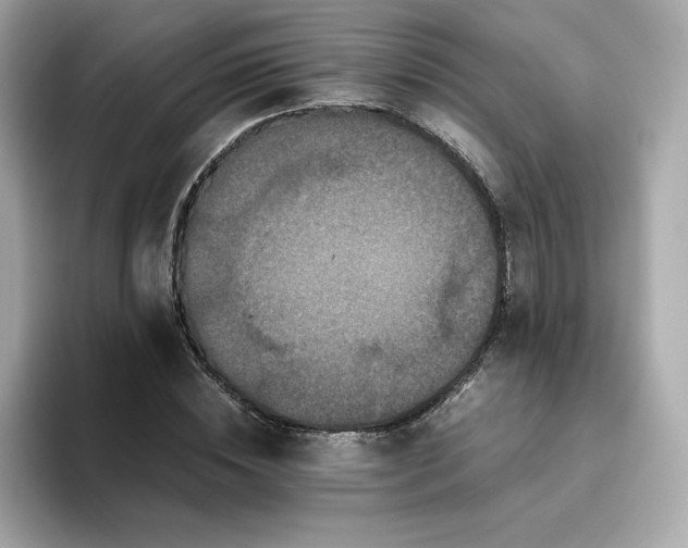X0000094780828200711301544