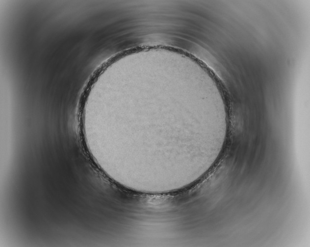 X0000094780832200711301544