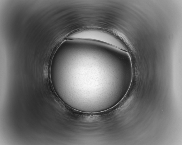 X0000094780833200711301544