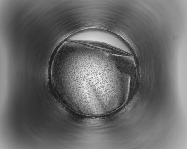 X0000094780834200711301544
