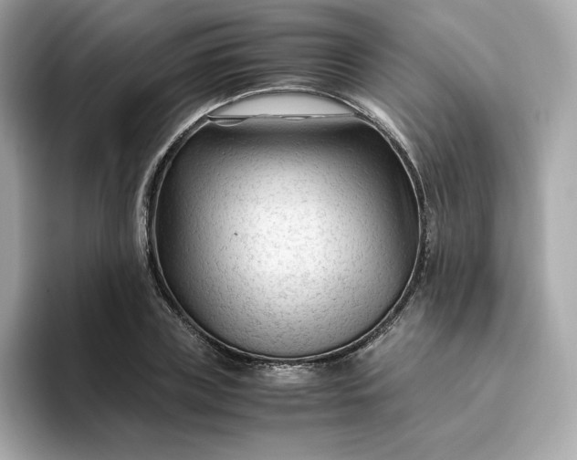 X0000094780835200711301544