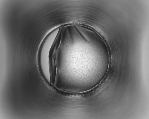 X0000094780838200711301544