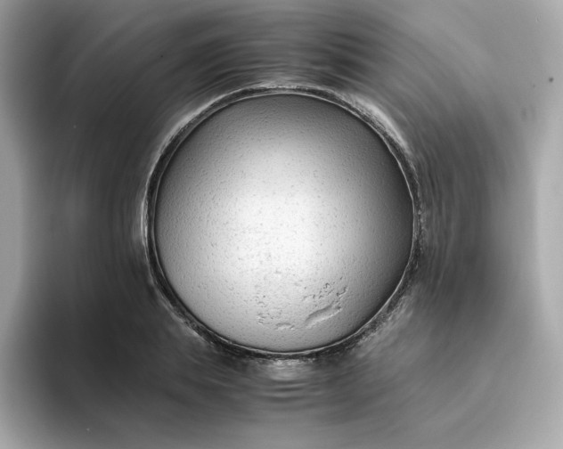 X0000094780839200711301544