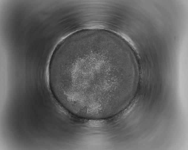 X0000094780840200711301544