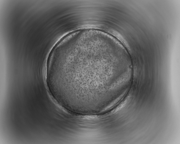 X0000094780844200711301544