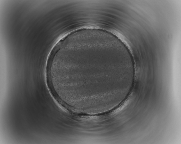 X0000094780845200711301544