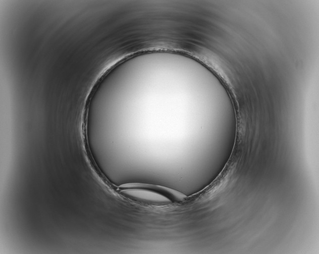 X0000094780847200711301544