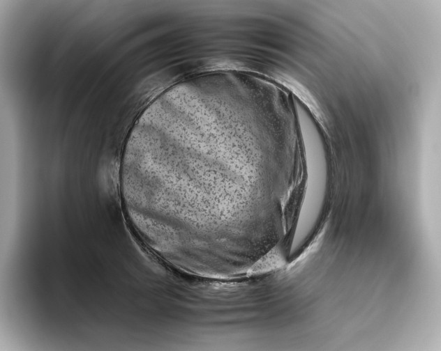 X0000094780849200711301545
