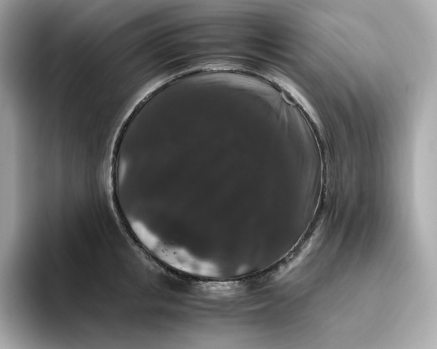 X0000094780853200711301545