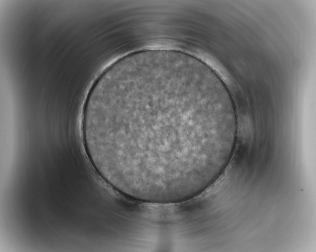X0000094780856200711301545