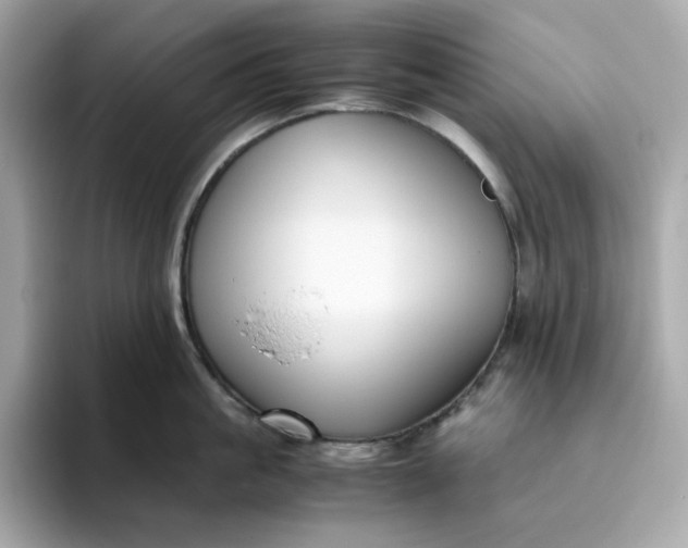 X0000094780861200711301545