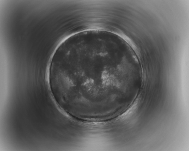 X0000094780862200711301545