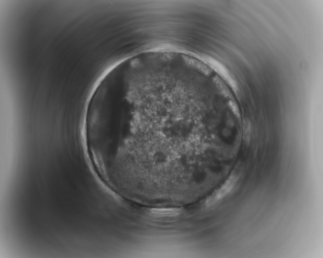 X0000094780863200711301545
