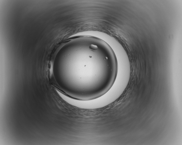 X0000094780868200711301544