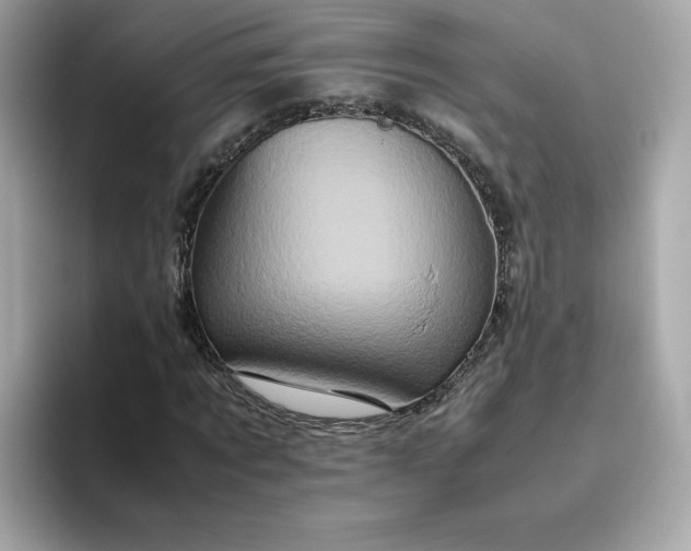 X0000094780869200711301544