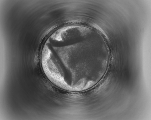 X0000094780874200711301544