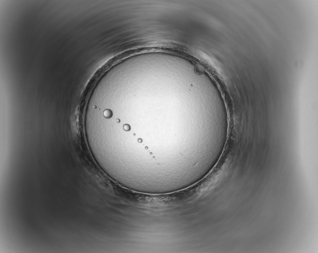 X0000094780875200711301544