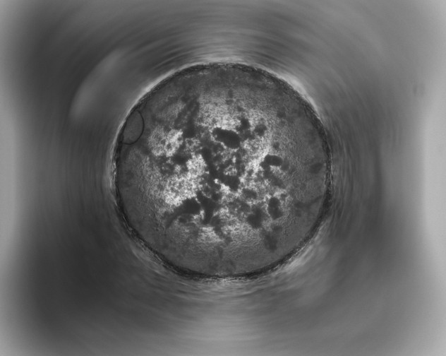 X0000094780879200711301544