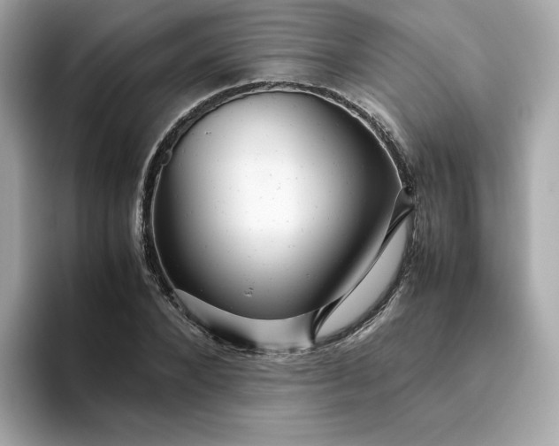 X0000094780880200711301544