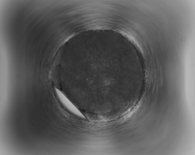 X0000094780881200711301544