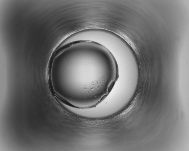 X0000094780885200711301544