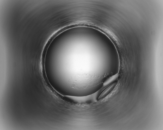 X0000094780888200711301544
